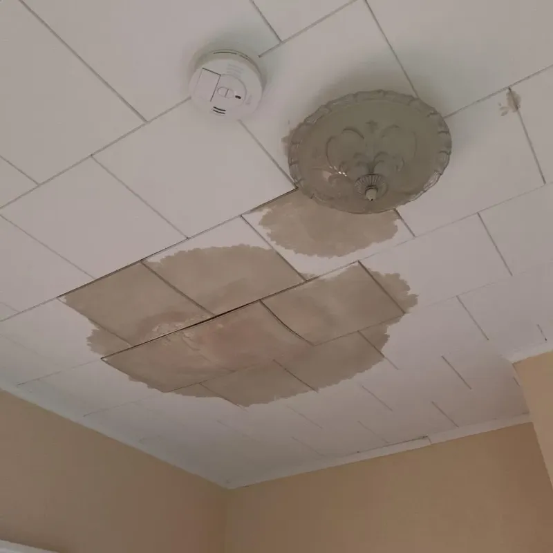 Ceiling Water Damage Repair in South Henderson, NC