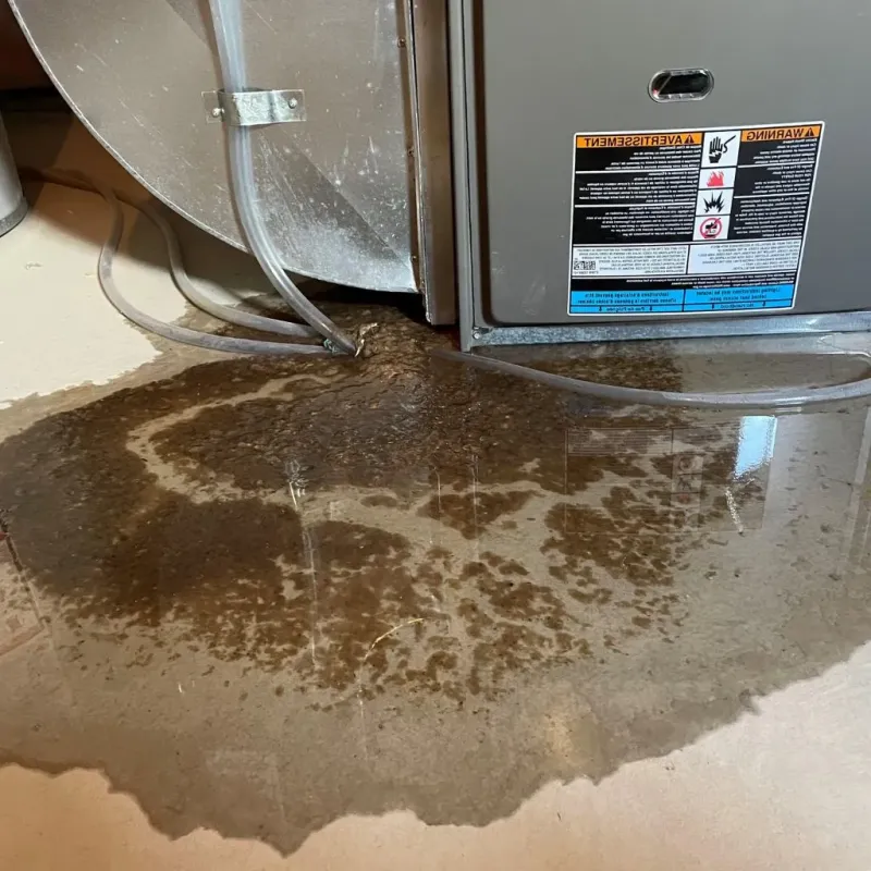 Pipe Burst and Leak Restoration in South Henderson, NC