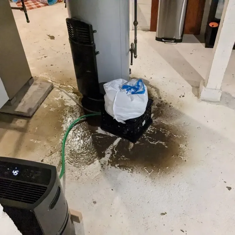 Sewage Backup Cleanup Service in South Henderson, NC